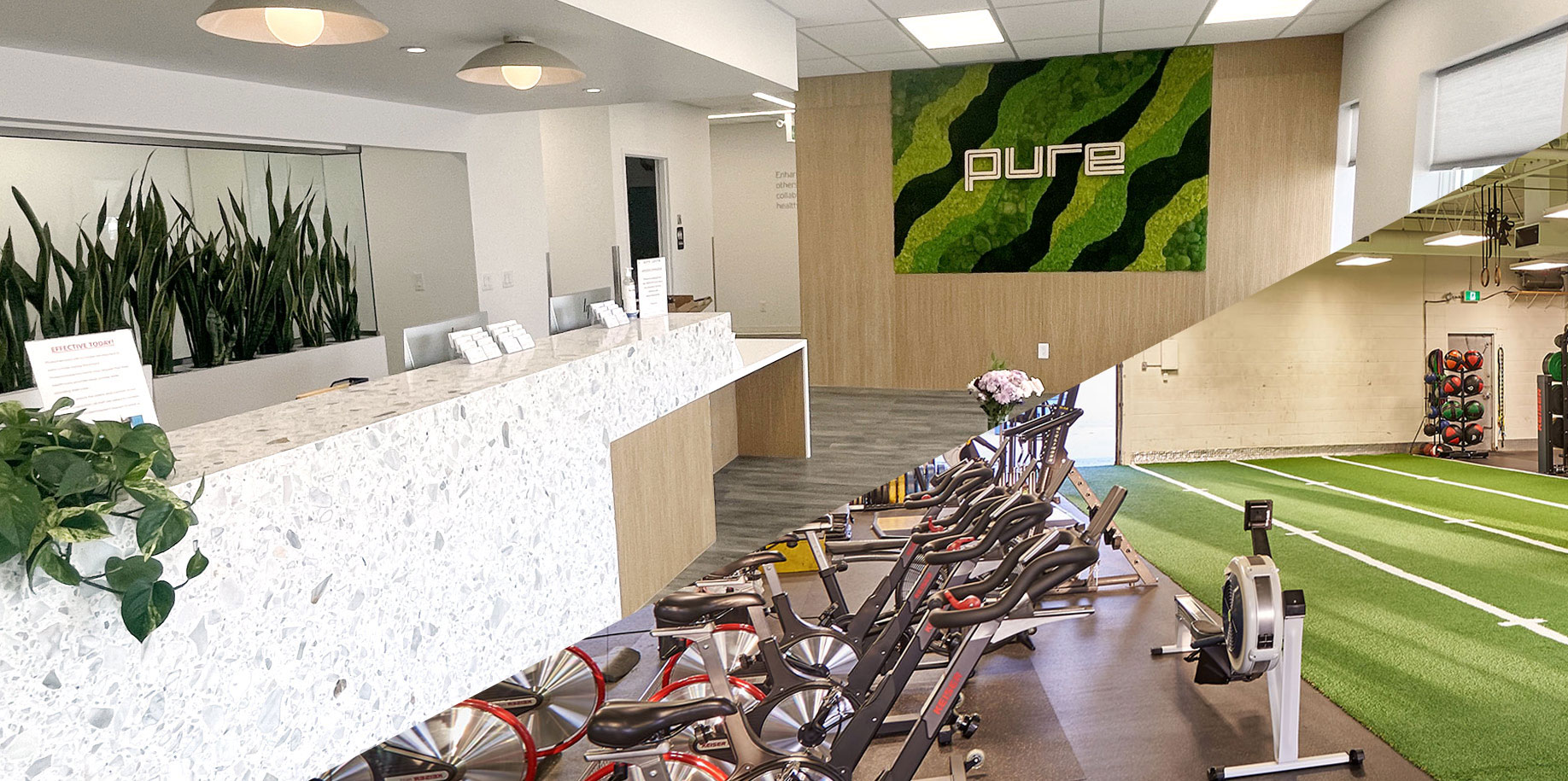 pure-physio-empress Pure physio on empress